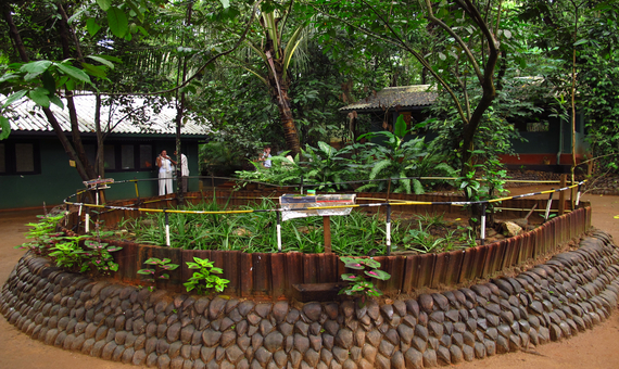 香料園 Spices Garden